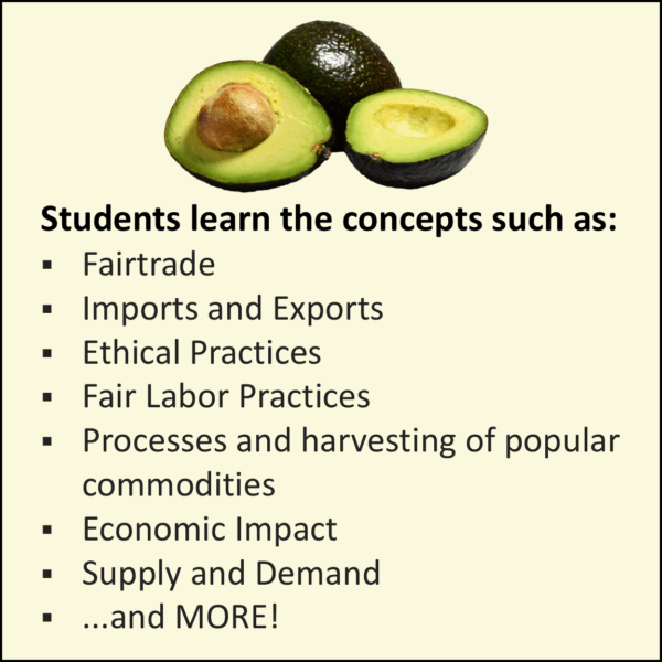 International Business Case Study Activity on AVOCADOS