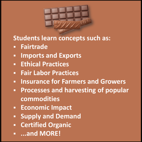 International Business Case Study Activity on COCOA